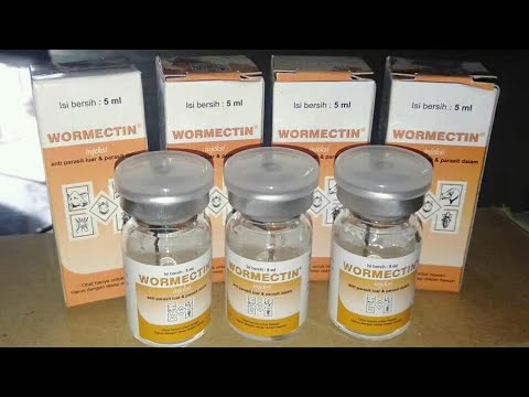 cara suntik wormectin - Obat scabies dan gatal untuk kelinci