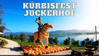 Juckerhof Kürbisfest Seegräben - Switzerland/Schweiz