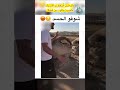 شاهد شاب جزائري يشتكي من تخريب مصدر رزقه اخبار الجزائر اكسبلور الجزائر Echorouk