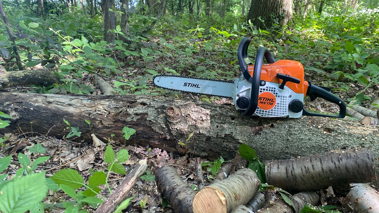 PRÉSENTATION DE LA TRONÇONNEUSE STIHL MS 170 @STIHLFrance 