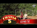 Сваты 5 (5-й сезон, 14-я серия)