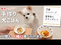 人間も一緒に食べられる手作り犬ごはん「豆腐ハンバーグと夏野菜のチキンポトフ」【簡単でヘルシーなレシピ】