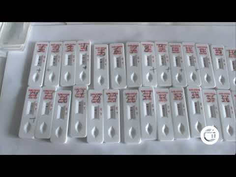 გურჯაანის მუნიციპალიტეტში 2 დღეში კორონავირუსი კიდევ 63 ადამიანს დაუდასტურა