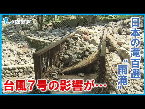 【台風被害】各地で猛暑の中ある避暑地では…　例年夏ににぎわう『雨滝』は大量の岩や木で近づけない状況に　鳥取県鳥取市