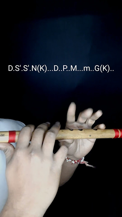 Hero Theme Flute Cover   Notes | Khwahish Music | Flute Tutorial | #shorts