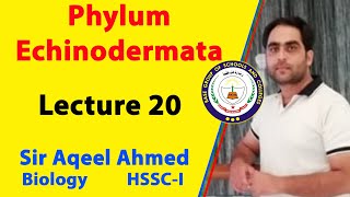 Phylum Echinodermata | Lecture 20 | Biology | 1st Year | Sir Aqeel