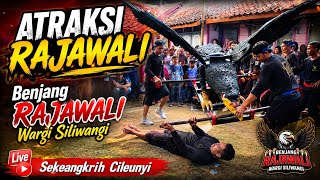 Atraksi Rajawali  Benjang Rajawali Wargi Siliwangi   Sekeangkrih Cileunyi