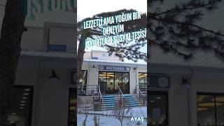 Ayaşta Uygun Fiyatlı, Lezzetli Ama Yoğun Bir Deneyim
