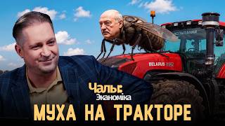 Модернизация и ускорение затянулись | Чалый:Экономика