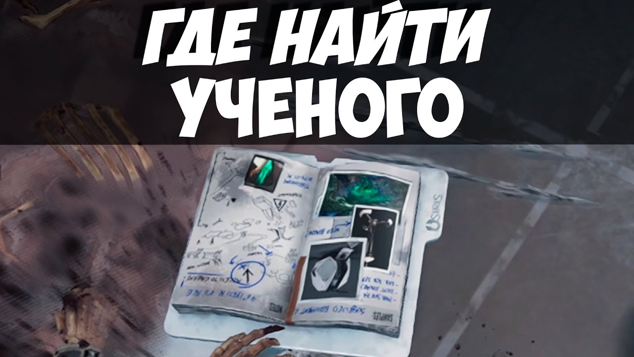 Пропавший ученый. Где находится учёный в геншин. Найдите пропавшего ученого genshin impact. Хиличурлы геншин импакт карта. Палаты знаний кортия.