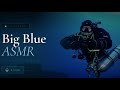 ASMR Deep Wreck Dive — Vasilius T | 55m Technical Diving