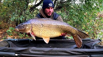 Carp Expert Compact pontybölcső bemutatása