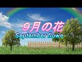 9月の花 September flowe