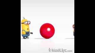 Minion Rebutan Bola Merah !!!
