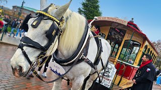 Horse-Drawn Streetcars - Disneyland Paris