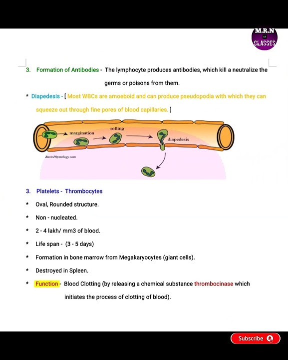 The Circulatory System Class 10 Part 2 ICSE viralvideo viral the-circulatory-system-class-10-part-2-icse-viralvideo-viral