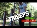 Triceps dips calisthenics  bodyweight exercises  routines