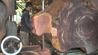 $10,000 FOR THIS LOG?? Dangerous Sawmill Process of Biggest Wood Part 1