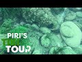 Massive Paua mission in Bluff, New Zealand - Piri's Tiki Tour S2 Ep8