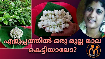 how to make mullapoo mala at home in malayalam |mummy and me|