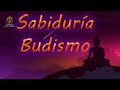 Directo 19.- Sabiduría del Budismo Zen