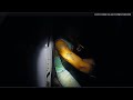 The calmest, kindest arrest captured on body-cam video