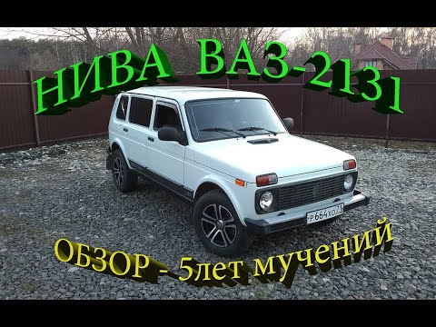 2131 нива минусы