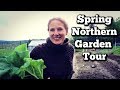 Spring Garden Tour | Food Forest | Northern Zone 4 Growing