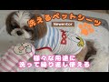 【ペット用品】使い捨てシーツ不要！？Newentorの洗えるペットシーツをご紹介！