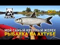 Мой самый крупный Жерех. Рыбалка на Ахтубе - Русская Рыбалка 4 #211