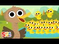 500 ducks  kids songs  super simple songs