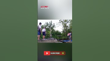 Thân thương hình ảnh học trò vùng đất mũi cà mau đến trường bằng vỏ lãi #shots