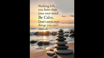 Be Calm Highlights Creator Love Creatorsearchinsights 