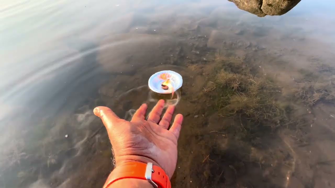 Day :- 76 Takin Ghat To Vikrampur | Narmada Parikrama | Off Road | #spiritualjourney #heritage 