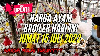 🔴 UPDATE: Harga Ayam Broiler Hari Ini, Selasa 9 Agustus 2022. 