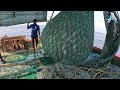 Big catch fishing in the sea  net fishing in the sea  kadal