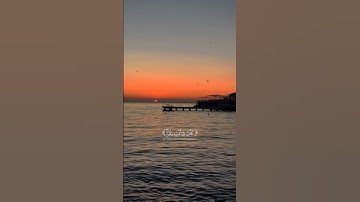 اسمع تلاوة ياسر الدوسري 🎧❤️‍🩹 #yasseraldossary #راحة_نفسية #القرآن_الكريم #قرآن #تلاوة_مؤثرة