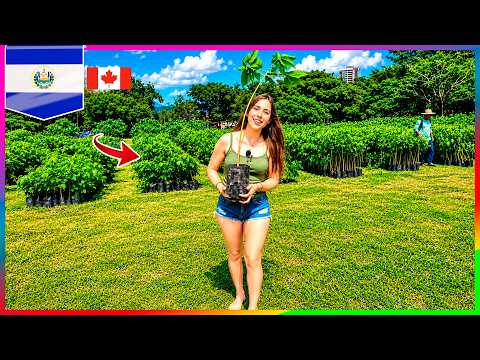 FIRST TIME I planted a TREE in EL SALVADOR