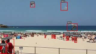 Video of Object Detection using yolov7 tiny model generated on Jetson Nano