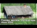 [РВ] Грозы, волки, Ухтынгирь (поход в костромскую глухомань, часть 3, заключительная)