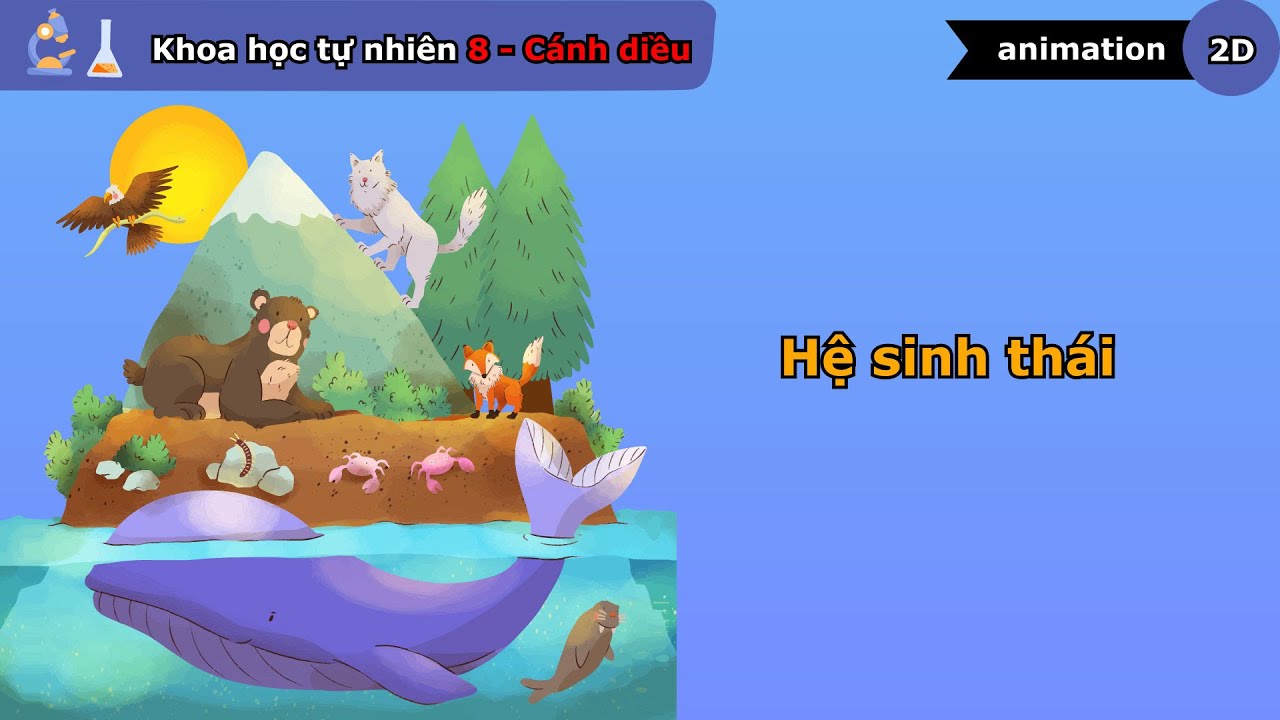 Hệ sinh thái - Khoa học tự nhiên lớp 8 - Bài 41 - Cánh diều - vninfographic