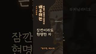 지혜와 어리석음의 차이 | 부처님말씀 | 석가모니명언 | 인생지혜 | 명상의말씀