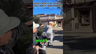 Boomer Instantly Humbled After Grabbing Auditor's Camera #pepperspray #firstamendmentaudit