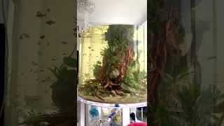 I got scammed $20k by the client, an international scammer! comment “story” if u want me to share!