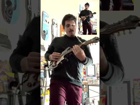 Seven Nation Army on Electric Mandolin #whitestripes #mandolin #shorts  #fxpedals