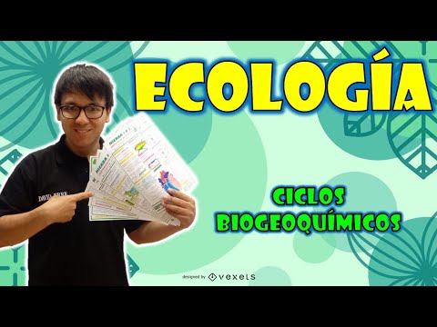[ BIOLOGÍA FREE ] - ECOLOGIA II 👉😍🌿