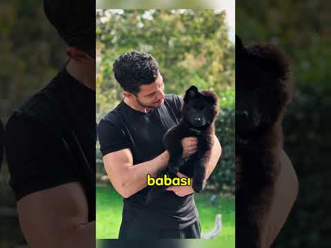 BEBEK HEYECANI YAŞAYAN PINAR DENİZ İLE KAAN YILDIRIM BU DEFA EVLERİNDEN PAYLAŞTI! #shorts