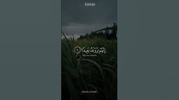 فاصبر صبرا جميلا _  القارئ اسلام صبحي#قران #quran