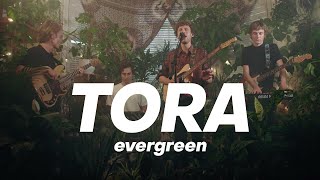 Tora - Similar | evergreen live