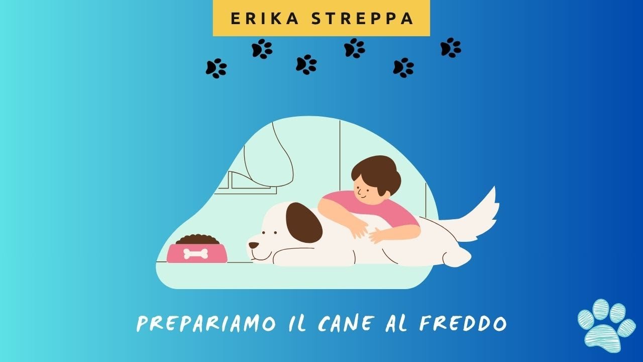 15 RIMEDI PER PROTEGGERE IL CANE DAL FREDDO